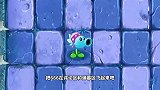 【pvz沙雕配音】瓜瓜反僵新吃货组合的饕餮盛宴