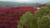 那么这期微调下颜色如何？