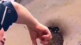 主人家担任起燕子爸妈的角色！