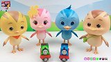 萌鸡小队的四只小鸡陪托马斯小火车和他的朋友玩游戏