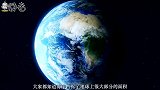 这种生物在地球生存了6亿年，却毫无进化，至今仍保持原来的模样