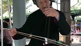 一曲改编的二胡情歌，大爷广场表演绝活，太好听了!