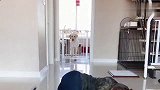 狗狗看到女主晕倒，从栏杆外一跃而入，努力叫醒女主