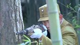 抗战：营长用兵如神，大炮开路手枪近战，打到鬼子屁滚尿流