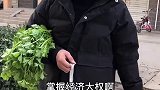 什么样的女人才算人生赢家，听听冬哥怎么说