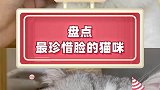 颜值宠物猫咪的迷惑行为