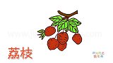 水果简笔画大全，画树枝上的荔枝简笔画