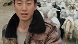 世上只有妈妈好，下一秒放羊人口号一喊惊呆了，太有默契了吧！