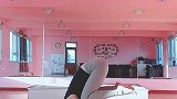 鹤婵式——倒立——鹤婵式