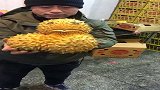 这是榴莲吗怎么长成这个样子，网友：太稀奇了！