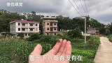路上捉了两只蝗虫拿回去喂八哥，结果却便宜了一只大公鸡