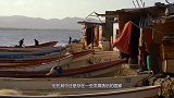 难以想象？该国拖欠中国500亿美元，还债方式让人哭笑不得