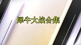 狮子疯狂挑衅犀牛，不料被犀牛打到逃走，强者的精彩对决