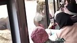 我怀疑这是个工作人员 但我没有证据