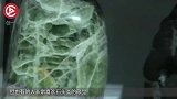 农民河里捞出一块40吨石头，女子买走，开眼界了