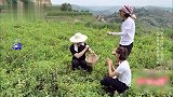 贾乃亮袁弘田间翻拍mv，嗨唱《花心》配合好默契！