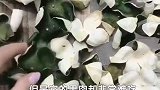 世界上最委屈的水果，果肉被丢掉，果皮却是香饽饽