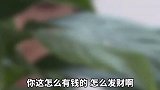 警惕炫富骗局，朋友圈炫富骗局 涉案金额高达四个亿 炫富