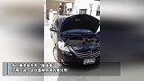 除旧迎新之日 泰国男子迎来了一位特殊“客人”