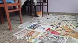 铲屎官出门忘了下命令让狗狗吃，回到家一看，差点笑喷了