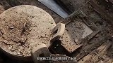 广东工地意外挖出千年大墓，打开墓室金光四射，专家：南越古墓！