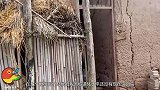 山西太原特大发现，老农住了一辈子的土墙房被冲塌，发现一堆宝贝