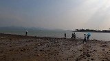 实拍深圳湾滩涂赶海抓螃蟹，这里是小朋友来了就不想走的地方