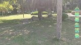 中国茶都大茶壶公园一游