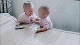 家有龙凤胎兄妹每天都要打一架，互相让一让就过去了，非要打架