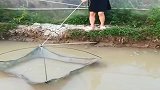 这样抓鱼的方式，还是第一次见，果然高手在民间