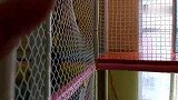 公主游乐场过障碍溜滑梯