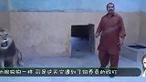 狮子死活不肯进铁笼，男子踢了狮子一脚，下一秒狮子回头了