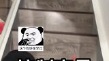 当小猫咪遇到螺蛳粉会发生什么