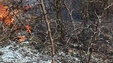 湖北老农家祖坟冒青烟，专家闻讯赶到，勘测后立刻封锁了整座山