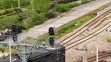 车头和车厢竟然分开了，这是怎么一回事棚车我怎么自己跑了