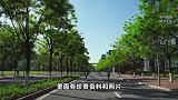 19岁女大学生景区被刺死，家属：对方搭讪不成行凶，手机遗失