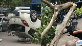 69岁男子驾车连撞5人后又撞断大树 警方：操作不当