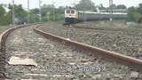 野猪误入火车轨道，远处火车却疾驰而来，它还跑得掉吗？