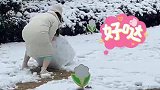 为了堆雪人，女生一个人默默努力的背影