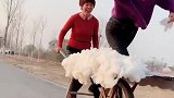 我婆婆终于让我上天了