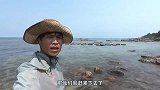 人品爆发，赶海抓到不少大螃蟹，最后还抓到大章鱼真过瘾