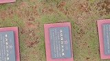 这一座座墓碑筑就了我们的长城，一寸山河一寸血才让我们拥有了现在的幸福安康！缅怀先烈