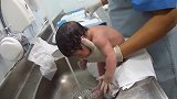 原来产科护士是这样给新生儿洗澡的，比我洗菜还随意，太专业了！