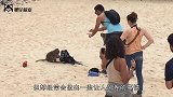 男子一耳光拍翻猴子，猴子当场就懵了，网友：干得漂亮