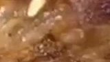 实不相瞒我最爱吃的就是这家的卤肥肠