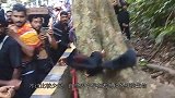 村庄突然出现“神秘生物”，村民上前围观，专家：赶快撤离