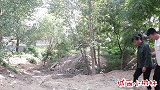 丈母娘来家住女婿好生伺候，婆婆来家住妻子把她赶走