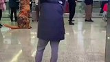 父子俩穿恐龙装”在机场接妈妈，妈妈像漫不经心路人提东西离开父与子
