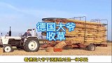 德国大爷这么干活，一家人撑起一个农场，你服不服