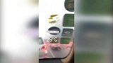卡纳瓦罗广州遇极端天气 座驾被困29度大街上